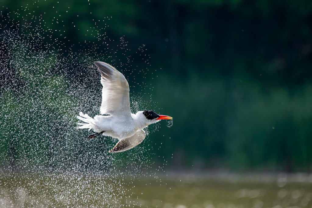 se libérer du stress.